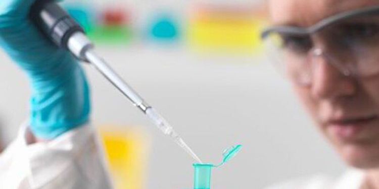 个人亲子鉴定流程是什么样的