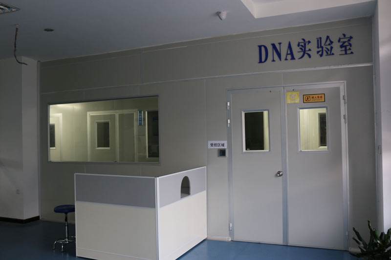 亲子鉴定费用大概需要多少