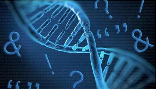 上户口亲子鉴定流程有那些呢？