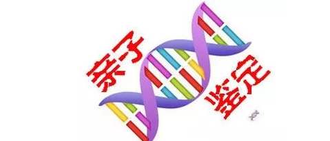 产前亲子鉴定怎么做